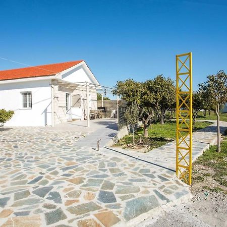Faliraki Citrus Garden エクステリア 写真